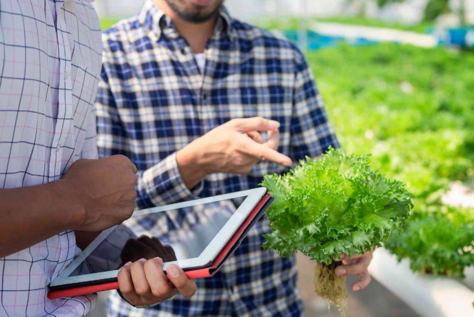 Program Pemerintah untuk Pertanian Modern