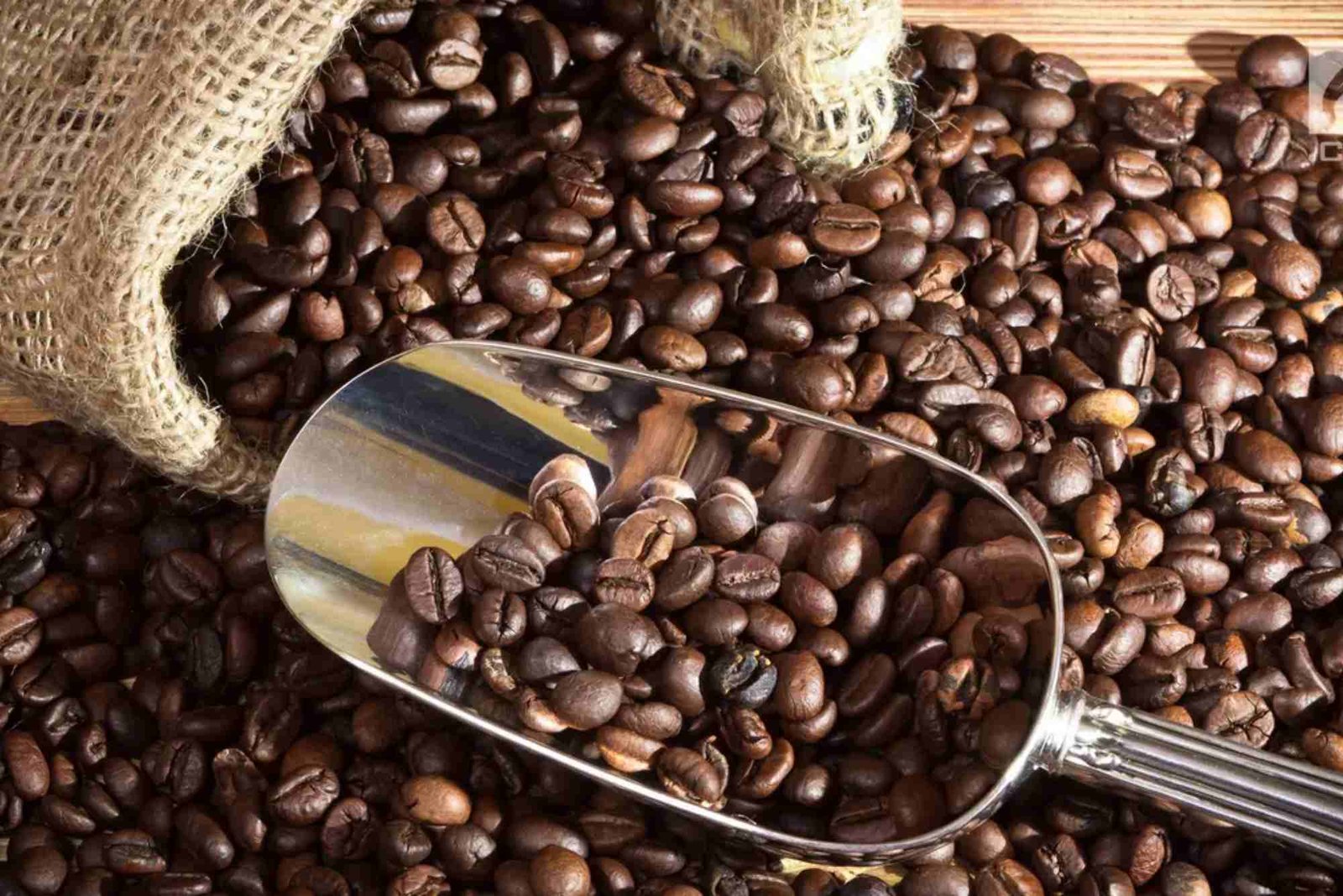 Tips Memilih Produk Kopi Berkualitas